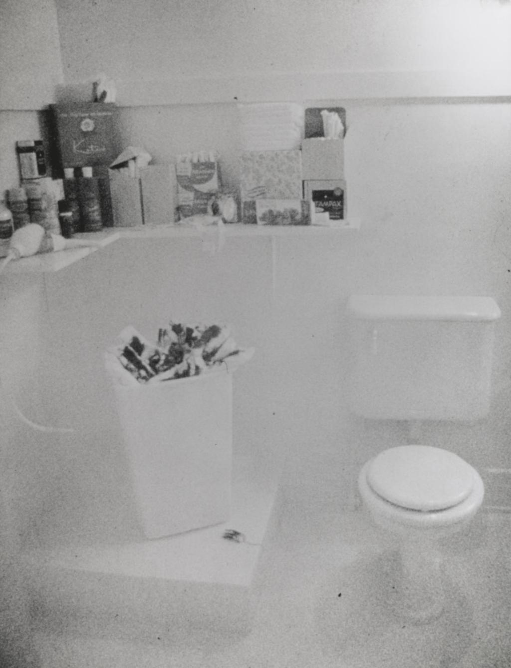 Judy Chicago, Menstruation Bathroom&nbsp;(1972)