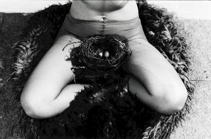 Birgit Jürgenssen, Nest&nbsp;(1979)