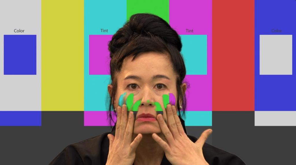 Hito Steyerl, How Not To Be Seen&nbsp;(2014)